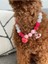 Kırmızı Pembe Boncuklu Sevimli Köpek Kolyesi/tasması 4