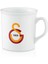 Galatasaray Mug U251127 2