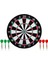 Dartboard Mıknatıslı Dart Oyunu Mıknatıs Uçlu Çift Taraflı Manyetik Dart CKS-208 1