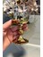Bohemia Kristal 6' Lı Kahve Yanı Bardağı Gold 150 cc 3