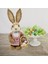 Paskalya I Rticicial Straw Bunny Partisi Süsleme A (Yurt Dışından) 2