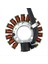 Yamaha Için Motosiklet Magneto Stator 4JG-85510-01 TTR225 XT225 Serow 225 ST225 Bronco 225 Motosiklet Parçaları (Yurt Dışından) 3