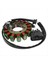 Kawasaki Ninja Zx-6r 21003-0083 21003-0072 Için Motosiklet Magneto Jeneratör Stator (Yurt Dışından) 1