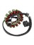 Kawasaki Ninja Zx-6r 21003-0083 21003-0072 Için Motosiklet Magneto Jeneratör Stator (Yurt Dışından) 4