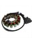 Kawasaki Ninja Zx-6r 21003-0083 21003-0072 Için Motosiklet Magneto Jeneratör Stator (Yurt Dışından) 5