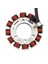3D6-H1410-00 Yamaha Için Stator XT125 XT125R XT125X 2005-2006 Xt 125 125R 125X 2005 2006 Motosiklet Aksesuarları (Yurt Dışından) 3