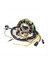 Polaris Atv Sportsman Için Yeni Motosiklet Magneto Jeneratör Stator 50 335 400 500 Işçi 335 3084974 3086860 3086239 (Yurt Dışından) 3