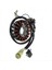 Honda TRX300 Için Manyetik Stator Fourtrax TRX300FW TRX300FX Stator Jeneratör Alternatör Magneto 31120-HC4-003 (Yurt Dışından) 3