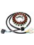 Suzuki GN250 Için Motosiklet Magneto Jeneratör Stator Bobini 1982-2001 TU250 1997-2006 Motosiklet Aksesuarları 32101-38302 (Yurt Dışından) 4