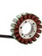 3090278 Motosiklet Jeneratörü Magneto Stator Bobini Polaris Trail Blazer Için 330 Blazer 330 Intl Boss 330 Boss 330 Intl (Yurt Dışından) 3