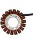 3090278 Motosiklet Jeneratörü Magneto Stator Bobini Polaris Trail Blazer Için 330 Blazer 330 Intl Boss 330 Boss 330 Intl (Yurt Dışından) 5