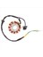 12 Kutup Stator Dc Gy6 125CC 150CC Için Ateşleme Stator (Yurt Dışından) 1