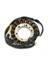 Honda CBR900 CBR929RR 2000-2001 31120-MCJ-003 Moto Parçaları Ateşleme Sistemi Için Motosiklet Alternatör Stator (Yurt Dışından) 5