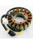 Stator Honda VT750 Gölge Ace Spirit 750 1998-2007 31120-MBA-004 Için Rmstator Yedek (Yurt Dışından) 2