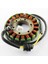 Stator Honda VT750 Gölge Ace Spirit 750 1998-2007 31120-MBA-004 Için Rmstator Yedek (Yurt Dışından) 5