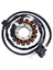 Magneto Stator Bobini 28P-81410-00-00 Yamaha Grizzly Için 700 YFM700FG 4WD 2007-2015 28P-81410-01-00 (Yurt Dışından) 1