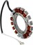 59031-7009 Magneto Stator 59031-7001 59031-7001 Kawasaki FH580V FH680V FX850V FX1000V Motorlar (Yurt Dışından) 2