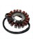 31401-01H21 31401-01H00 Suzuki GSXR750 2006-2024 Için Magneto Stator (Yurt Dışından) 4