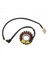 Duke Ktm 390 Için Magneto Stator Jeneratör Stator Motosiklet Malzemeleri (Yurt Dışından) 2