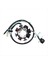 Honda CRF230F 2003-2017 31120-KPS-902 Motosiklet Aksesuarları Için Motosiklet Magneto Stator (Yurt Dışından) 1