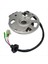 Polaris Scrambler Için Atv Için Yeni Magneto Stator 50 90 Sportsman Eton Axl Rxl Nxl 0450998 0450523 0451000 0450522 (Yurt Dışından) 3