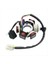 Motosiklet Magneto Stator 6 50CC 70CC 90CC 110CC 125CC Atv Quad Go Kart Için (Yurt Dışından) 1