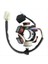 Motosiklet Magneto Stator 6 50CC 70CC 90CC 110CC 125CC Atv Quad Go Kart Için (Yurt Dışından) 4