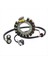 Motosiklet Jeneratörü Magneto Stator Bobini 3HN-85510-00-00 Yamaha Savaşçısı YFM350 1990-1995 (Yurt Dışından) 3