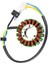 93MM 18 Kutuplu Motosiklet Manyeto Jeneratör Linhai Parçaları Için Stator YP250 LH250 Atv Quad 250CC Motosiklet Aksesuarları (Yurt Dışından) 3