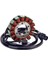 Yamaha Için Magneto Stator YFM550 YFM700 Grızzly 550 700 09-15 28P-81410-00 (Yurt Dışından) 1