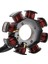Motosiklet Jeneratörü Magneto Stator Bobini Vento Tornado 250 Crossmax 250 Elektrikli Araba Atv Motosiklet Aksesuarları (Yurt Dışından) 3