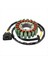 21040109701 Jeneratör Magneto Stator Bobini Odes 800 Utv Dominator Stels 800V Rm Pm 370101-001-0000 LU049967 (Yurt Dışından) 1
