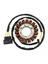 21040109701 Jeneratör Magneto Stator Bobini Odes 800 Utv Dominator Stels 800V Rm Pm 370101-001-0000 LU049967 (Yurt Dışından) 2