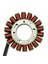 21040109701 Jeneratör Magneto Stator Bobini Odes 800 Utv Dominator Stels 800V Rm Pm 370101-001-0000 LU049967 (Yurt Dışından) 3