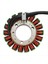 21040109701 Jeneratör Magneto Stator Bobini Odes 800 Utv Dominator Stels 800V Rm Pm 370101-001-0000 LU049967 (Yurt Dışından) 4