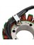 21040109701 Jeneratör Magneto Stator Bobini Odes 800 Utv Dominator Stels 800V Rm Pm 370101-001-0000 LU049967 (Yurt Dışından) 5