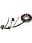 3089579 Magneto Stator Polaris Ranger Için Otomotiv 500 3089906 3089959 (Yurt Dışından) 1