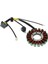 3089579 Magneto Stator Polaris Ranger Için Otomotiv 500 3089906 3089959 (Yurt Dışından) 4