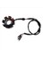 31120-KZ1-951 Honda XR250R 1986-1995 Motosiklet Aksesuarları Için Jeneratör Stator 31120-KT1-004 (Yurt Dışından) 1
