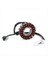 Alternatör Stator Bobini 855680 855181 855011 Aprila Rxv Sxv 450 550 06-11 Mxv 450 550 08-10 (Yurt Dışından) 1