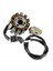 2D1-81410-10-00 5VY-81410-00-00 Yamaha Yzf-R1 Yzf R1 Yzfr1 2004-2008 Için Magneto Stator (Yurt Dışından) 1