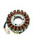 31401-35F10 Motosiklet Magneto Stator Suzuki GSXR600 Gsxr 600 GSX-R600 2001-2003 (Yurt Dışından) 1