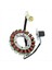 5GH-81410-00-00 Yamaha Atv Grizzly 400 450 Wolverine 450 5ND-81410-00-00 Için Yeni Motosiklet Magneto Jeneratör Stator Bobini (Yurt Dışından) 2