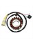 8000A6773 Motosiklet Jeneratörü Husqvarna Için Stator TE250 TE310 TE450 TE510 TC250 TC450 TC510 2008-2010 (Yurt Dışından) 1