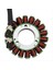 8000A6773 Motosiklet Jeneratörü Husqvarna Için Stator TE250 TE310 TE450 TE510 TC250 TC450 TC510 2008-2010 (Yurt Dışından) 3