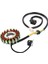 Suzuki Dr-Z 400 Sm DRZ400E Için Jeneratör Stator Magneto Stator DRZ400S Kawasaki KLX400 R Sr 32101-29F00 32101-29F10 (Yurt Dışından) 3