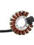 Yamaha 4JG-85510-01 TTR225 XT225 Serow 225 ST225 Bronco 225 Motosiklet Parçaları Için Motosiklet Manyeto Stator Bobini (Yurt Dışından) 4