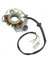 Yamaha Banshee Yfz 350 1987-1994 Için Magneto Ateşleme Stator 2GU-85510-50-00 (Yurt Dışından) 1