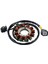 21003-0148 Kawasaki Için Magneto Stator KX250F KX250 KX252 KX450F KX450 21003-0102 21003-0147 21003-0082 21003-0168 (Yurt Dışından) 1