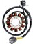 21003-0148 Kawasaki Için Magneto Stator KX250F KX250 KX252 KX450F KX450 21003-0102 21003-0147 21003-0082 21003-0168 (Yurt Dışından) 2
